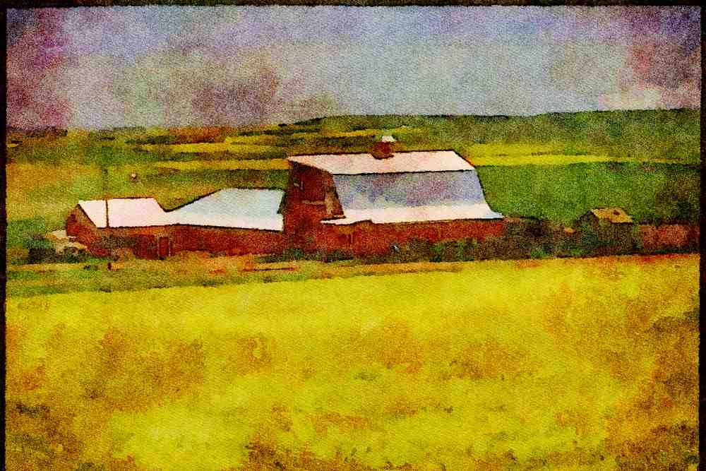 Canada 230025 Farm And Rapeseed Fields, Alberta A4 Limited Edition Watercolour Print