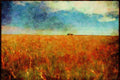 Canada 230034 Wheat Field, Saskatchewan A4 Limited Edition Watercolour Print