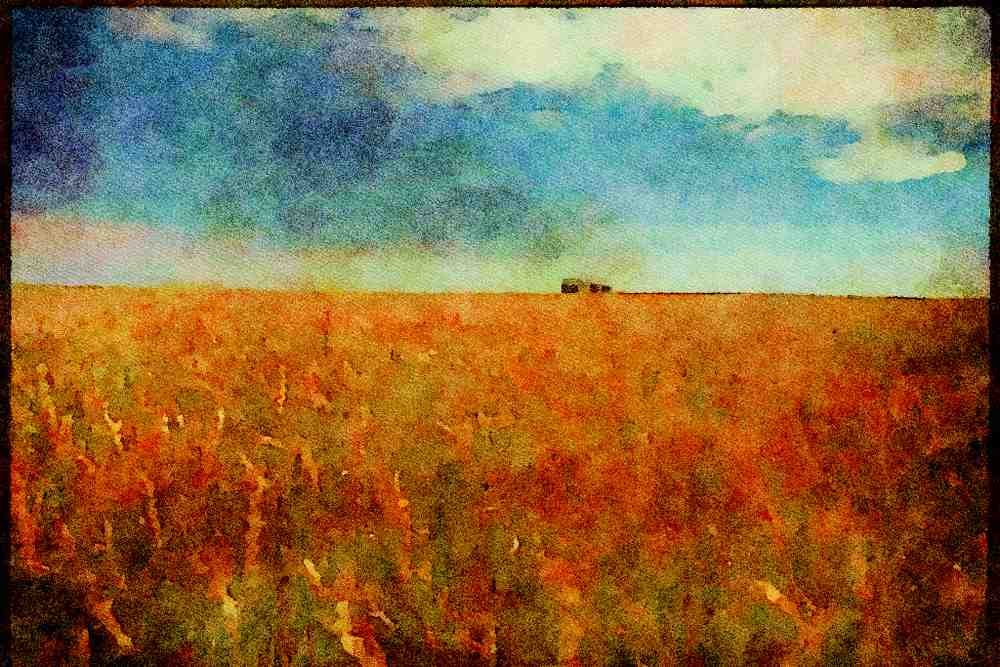Canada 230034 Wheat Field, Saskatchewan A4 Limited Edition Watercolour Print