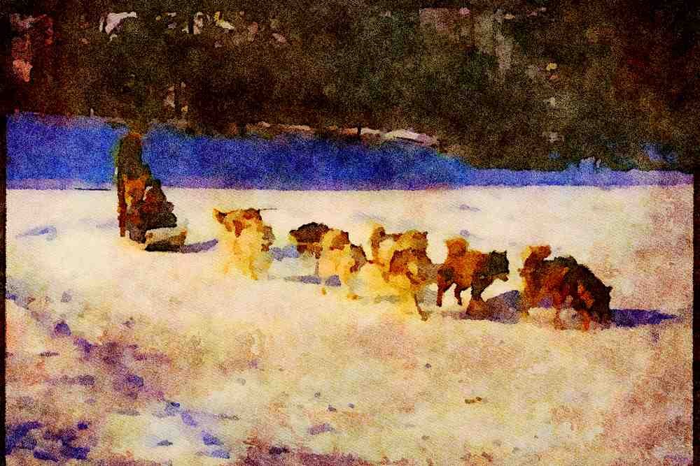 Canada 230055 Dog Sled On Anticosti Island, Quebec A4 Limited Edition Watercolour Print