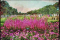 Canada 230062 Montreal Botanical Gardens, Quebec A4 Limited Edition Watercolour Print