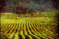 Canada 230081 Rural Cultivated Fields, New Brunswick A4 Limited Edition Watercolour Print