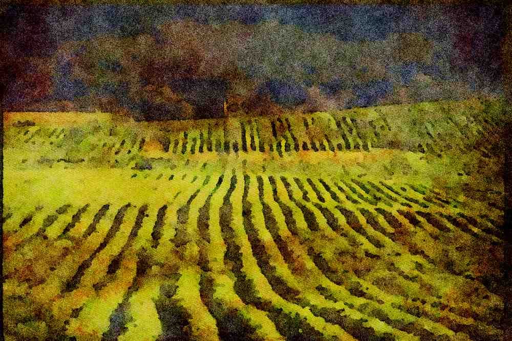 Canada 230081 Rural Cultivated Fields, New Brunswick A4 Limited Edition Watercolour Print