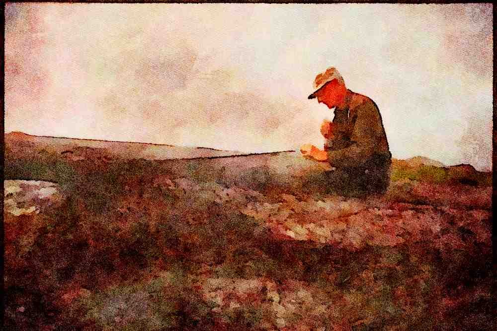 Canada 230084 Cape Breton Fisherman Mending Net, Nova Scotia A4 Limited Edition Watercolour Print