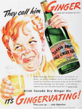 Canada Dry Ginger Vintage Retro Advert Ads A4 Photo Print