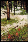 Canada National Park 344030 Early Snow And Paintbrushes, Banff, Alberta A4 Limited Edition Watercolour Print
