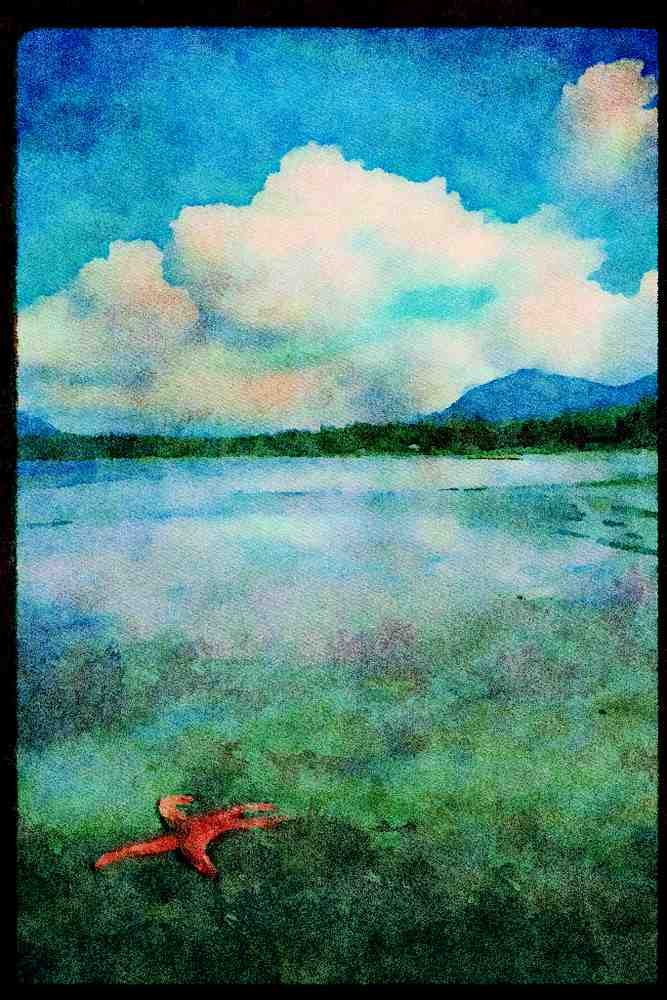 Canada National Park 344040 High Tide, Pacific Rim, British Columbia A4 Limited Edition Watercolour Print