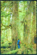 Canada National Park 344089 Queen Charlottes, British Columbia A4 Limited Edition Watercolour Print