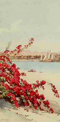 Cane Ella du 1874 1943 The Banks of the Nile 1913 View from a garden on Elephantine Island Vintage A4 Photo Print