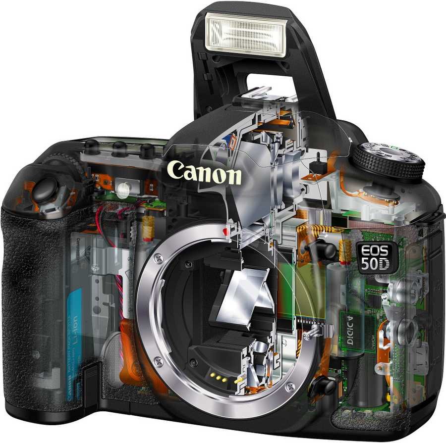 Canon EOS 50D 1 cutaway A4 Photo Print