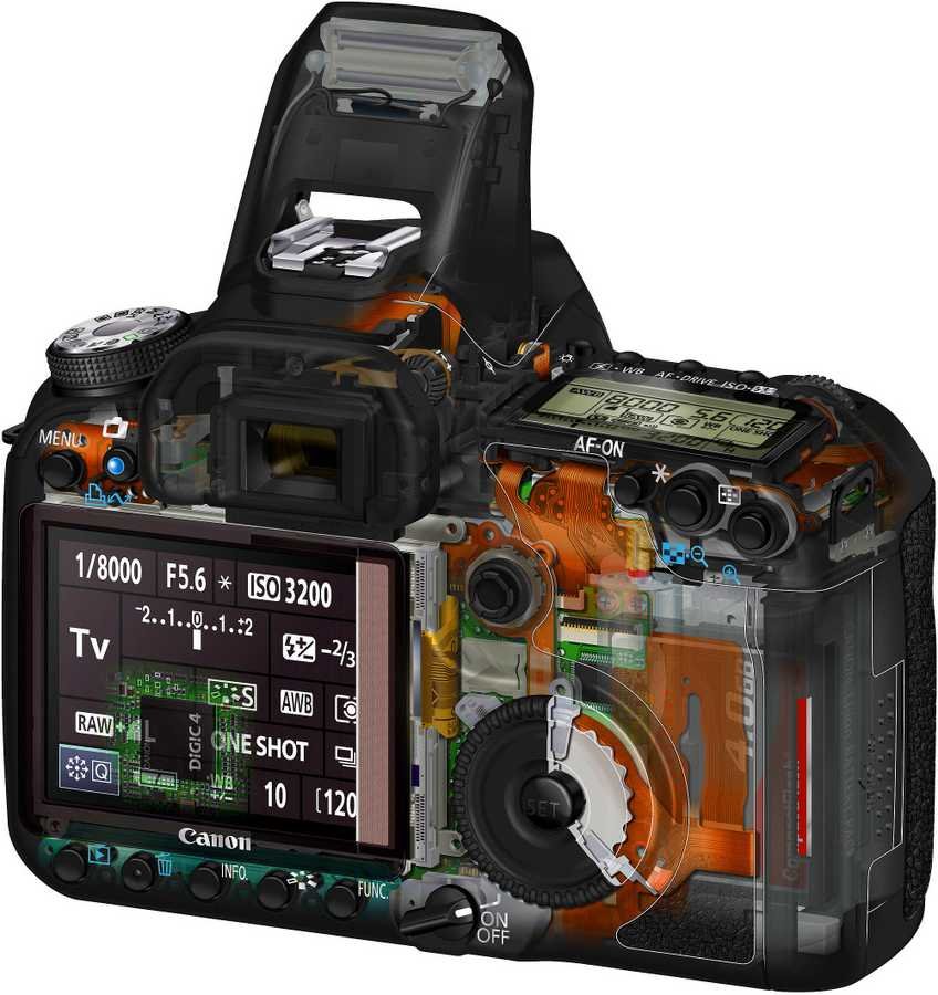 Canon EOS 50D 2 cutaway A4 Photo Print