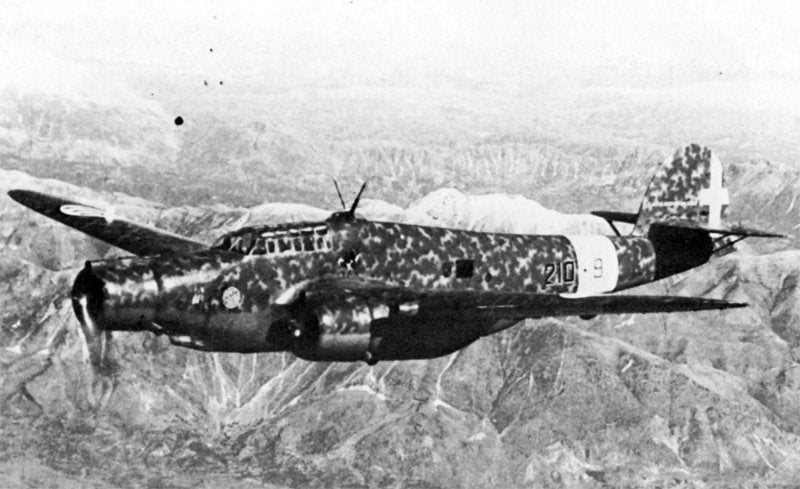 Cant Z1007 Alcione Kingfisher Medium Bomber Military A4 Photo Print