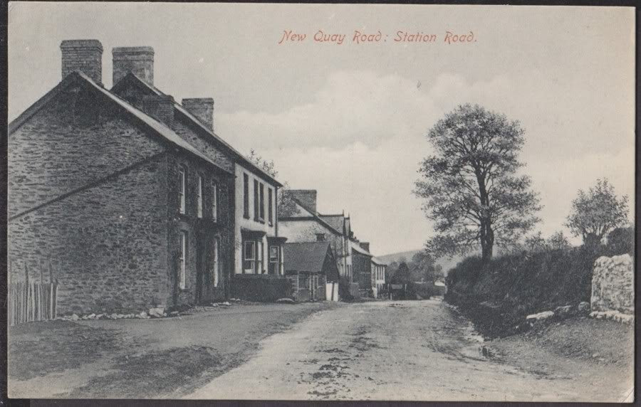 Cardiganshire New Quay Road Station Road Cottages Vintage A4 Photo Print