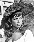Cardinale Claudia Dont Make Waves 01 A4 Photo Print 2