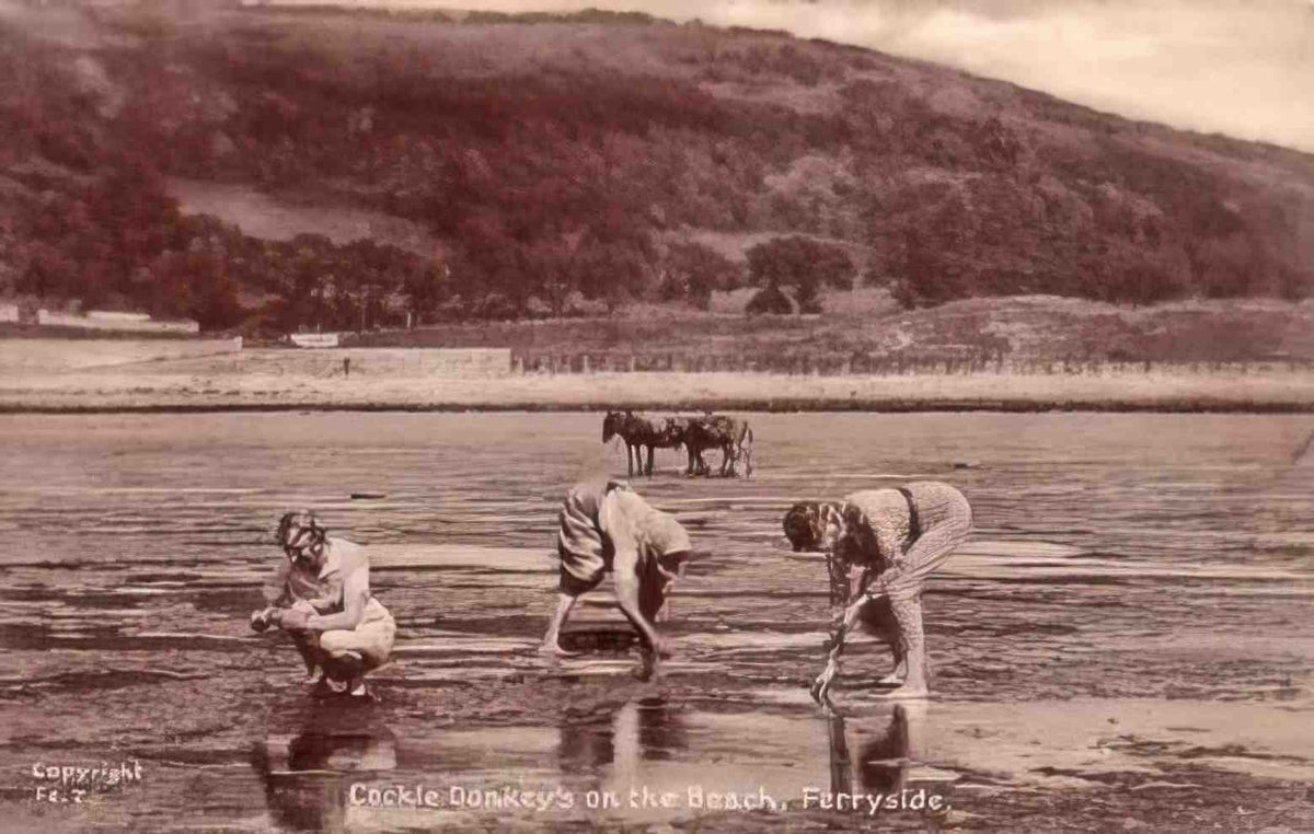 Carmarthenshire Ferryside Cockling 1930s Vintage A4 Photo Print