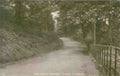 Carmarthenshire Llanelli Stradey Woods Vintage A4 Photo Print