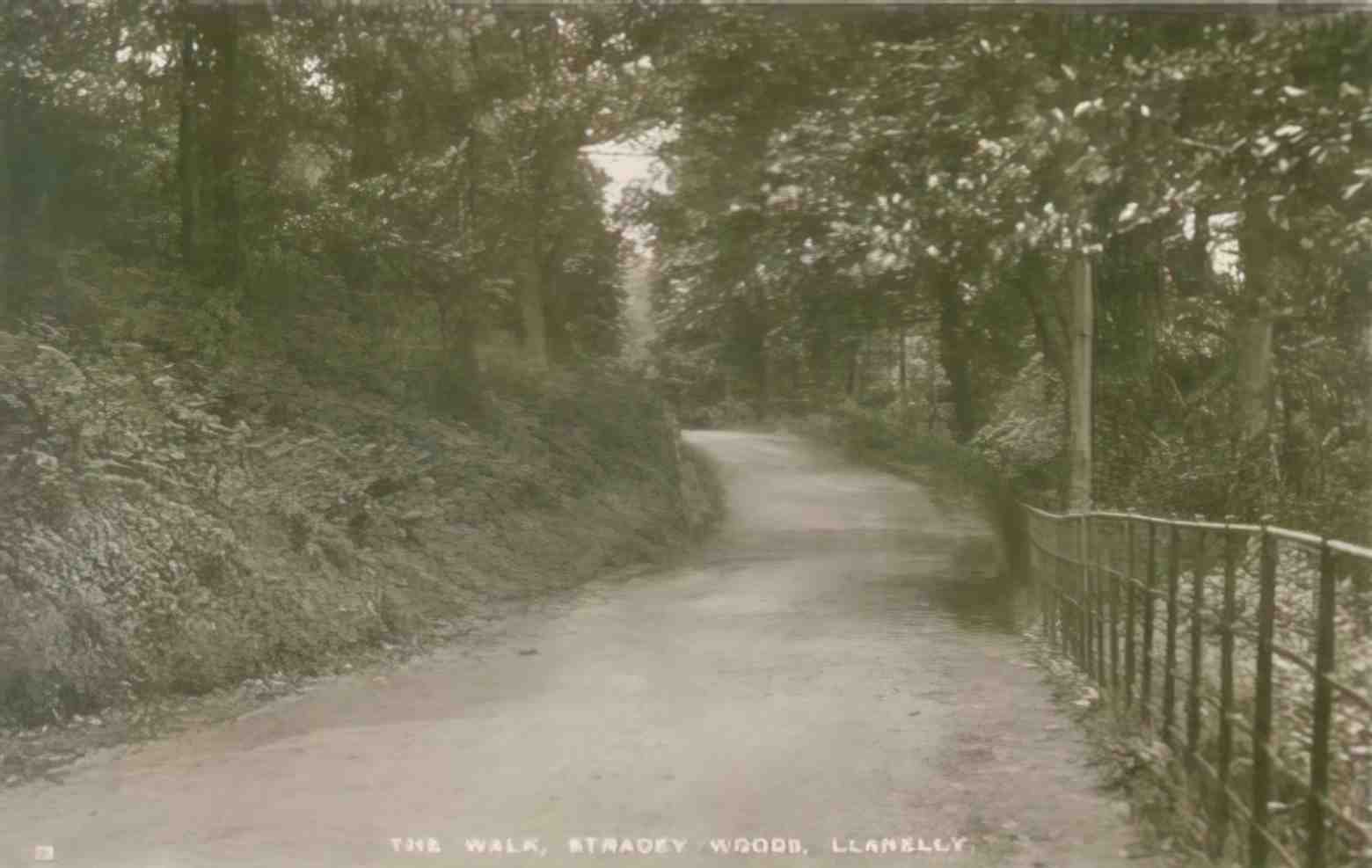 Carmarthenshire Llanelli Stradey Woods Vintage A4 Photo Print