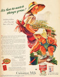 Carnation Milk Casserole Vintage Retro Advert Ads A4 Photo Print