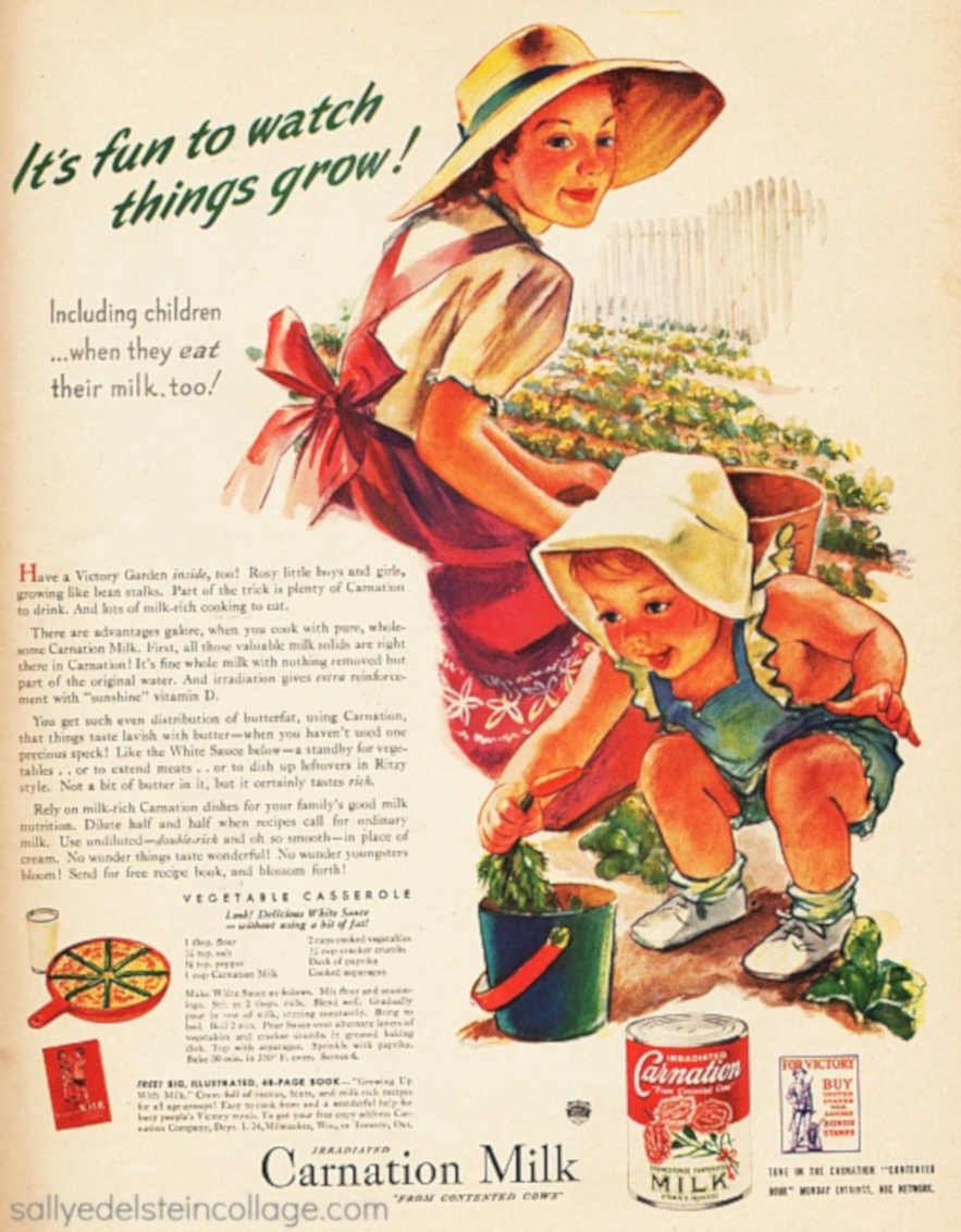 Carnation Milk Casserole Vintage Retro Advert Ads A4 Photo Print
