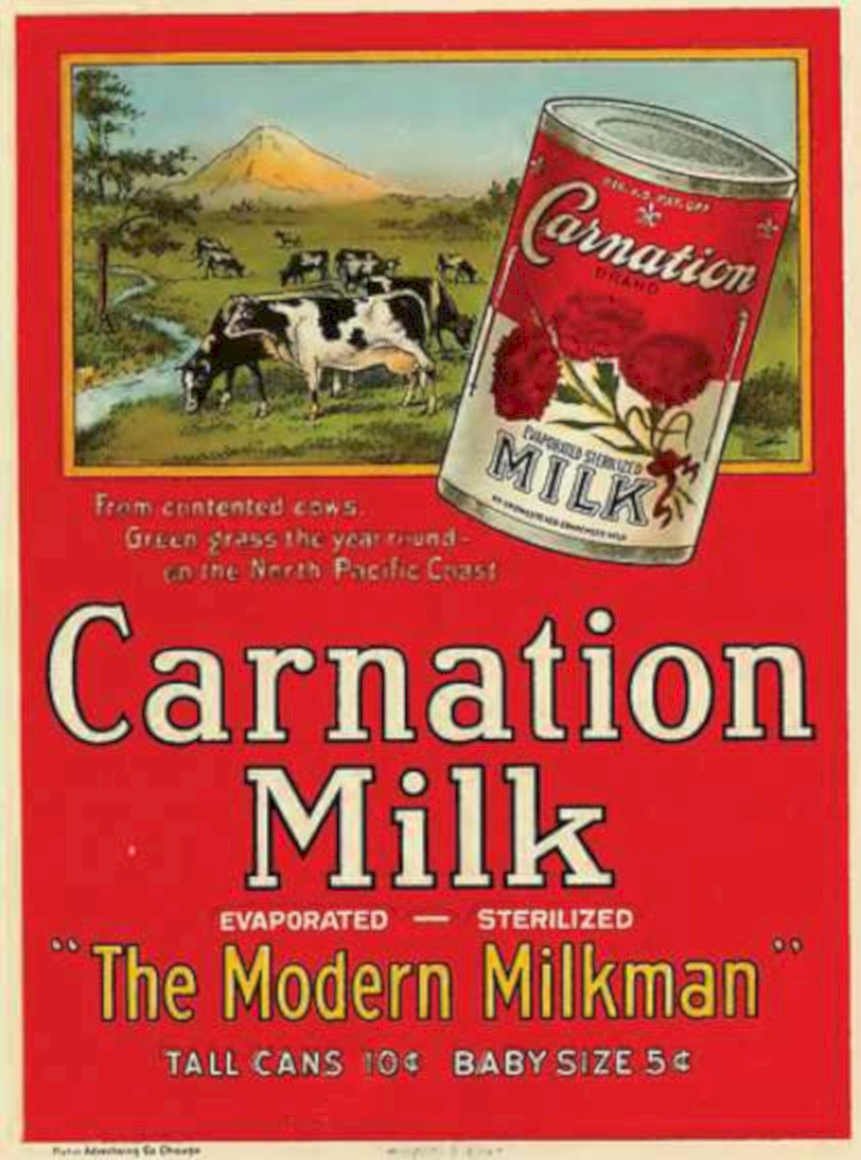 Carnation Milk Cows Vintage Retro Advert Ads A4 Photo Print