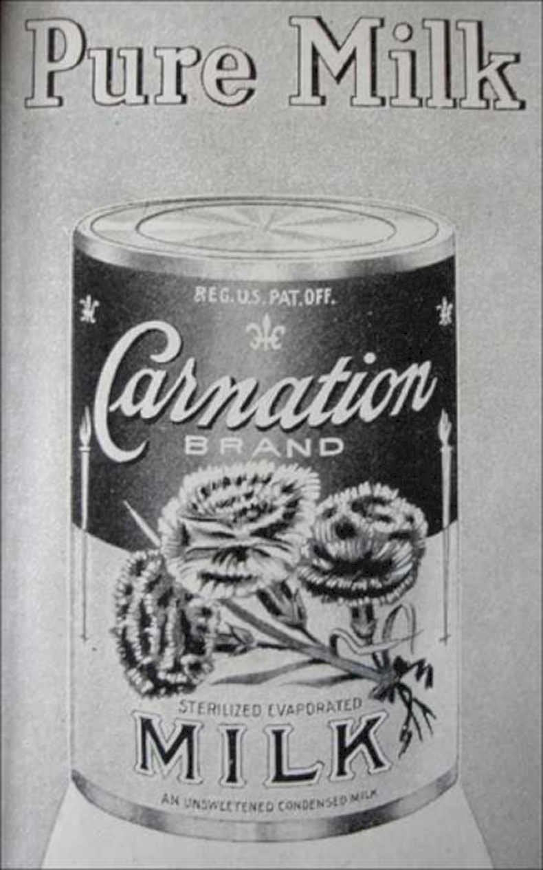 Carnation Milk Pure Vintage Retro Advert Ads A4 Photo Print