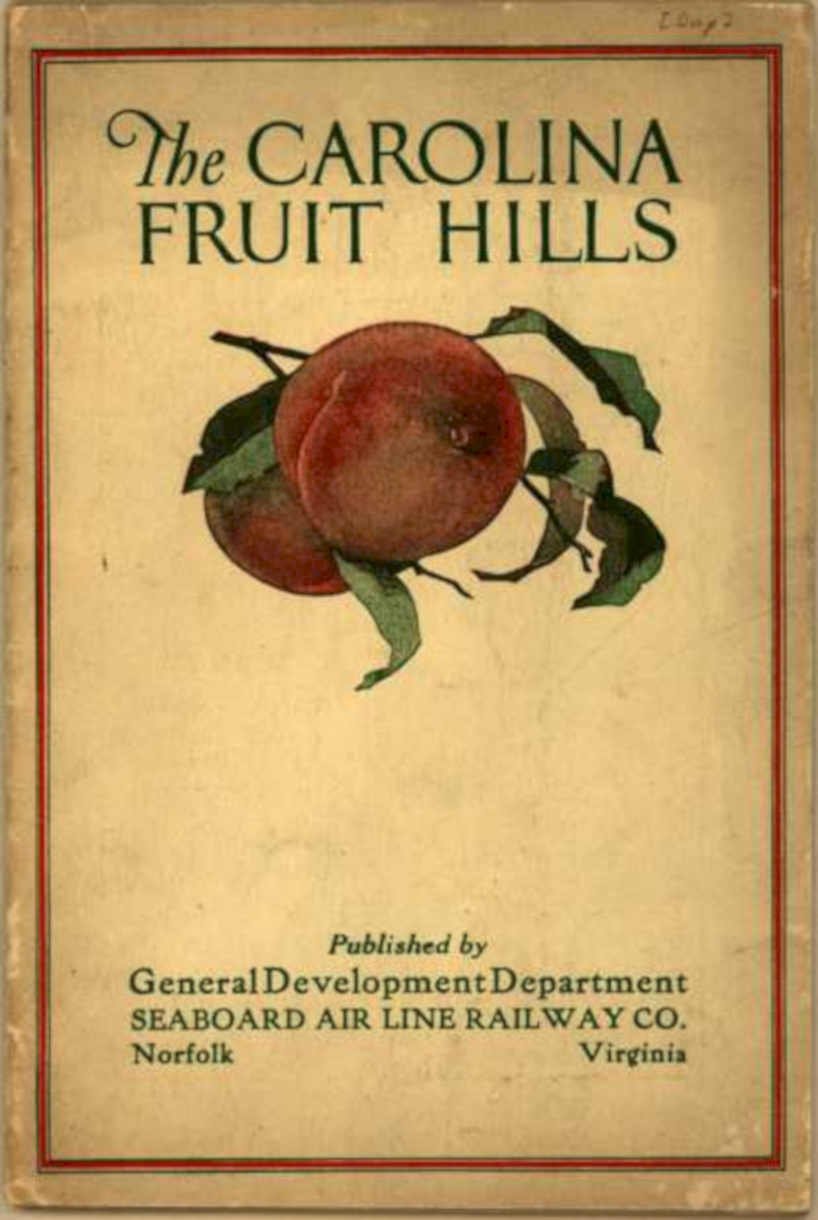 Carolina Fruit Hills Vintage Retro Advert Ads A4 Photo Print