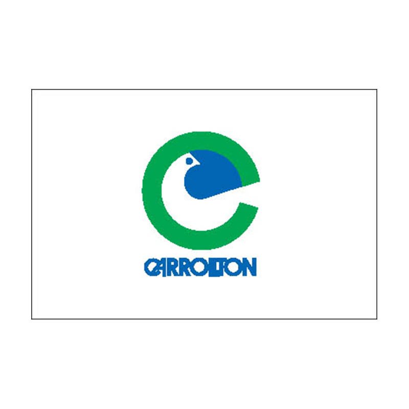 Carrollton City Flag N6201 A4 Photo Print