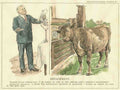 Cartoon punch 01031 Art A4 Photo Print UK