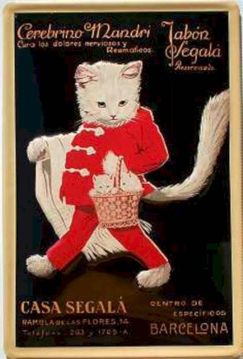 Casa Segala Cat Vintage Retro Advert Ads A4 Photo Print