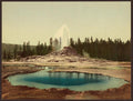 Castle Geyser Yellowstone National Park Vintage A4 Photo Print