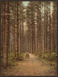 Cathedral Woods Intervale White Mountains Vintage A4 Photo Print