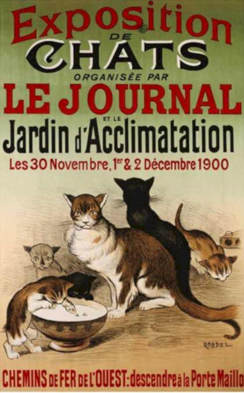 Cats Exhibition Journal Vintage Retro Advert Ads A4 Photo Print