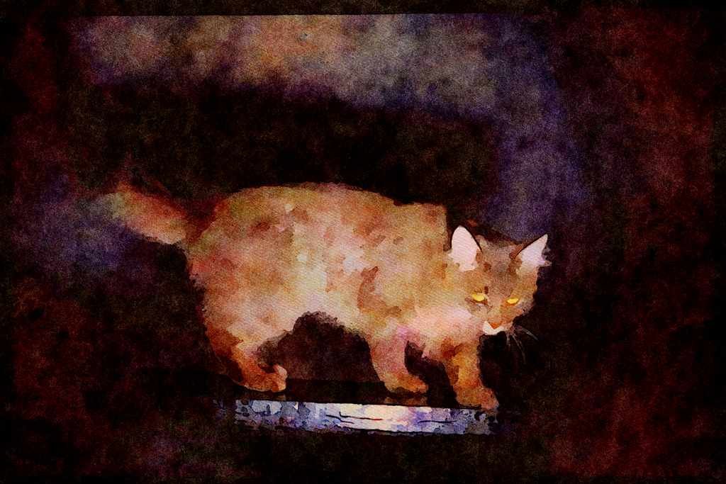 Cats Kittens 336000 Spooky A4 Limited Edition Watercolour Print