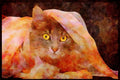 Cats Kittens 336002 Glamor Puss A4 Limited Edition Watercolour Print