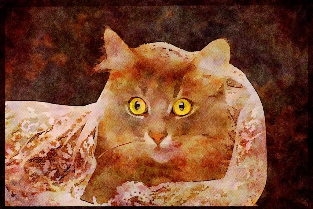 Cats Kittens 336003 Lounging In Lace A4 Limited Edition Watercolour Print