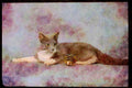 Cats Kittens 336004 Taking A Break A4 Limited Edition Watercolour Print