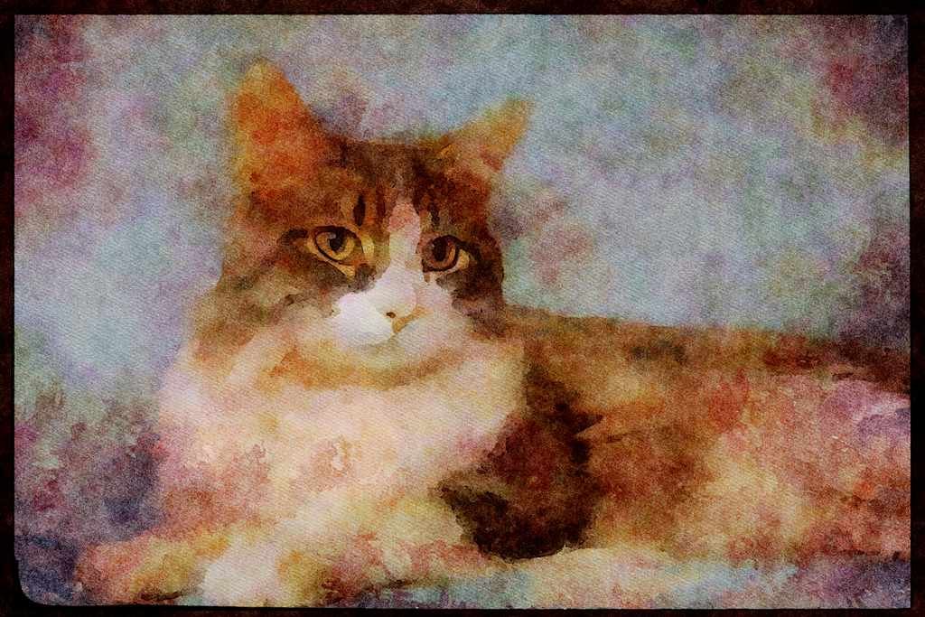 Cats Kittens 336006 Contented Kitty A4 Limited Edition Watercolour Print