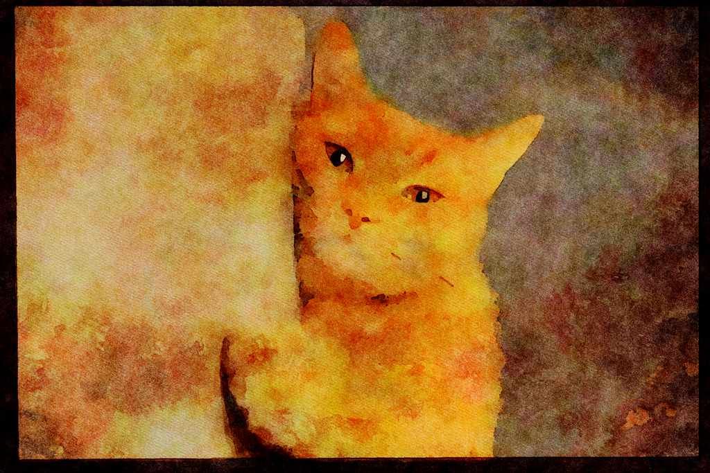 Cats Kittens 336008 Cat Nap A4 Limited Edition Watercolour Print