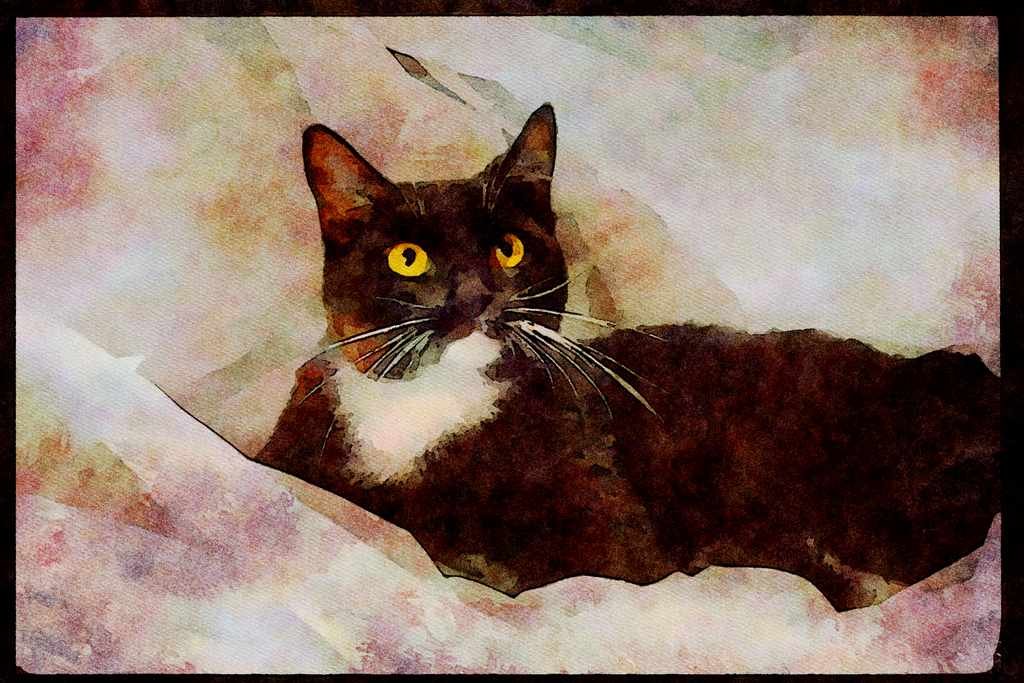 Cats Kittens 336010 Sylvester's Boudoir A4 Limited Edition Watercolour Print