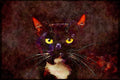 Cats Kittens 336011 I Tot I Taw ... A4 Limited Edition Watercolour Print