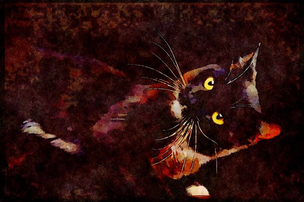 Cats Kittens 336012 Sylvester A4 Limited Edition Watercolour Print