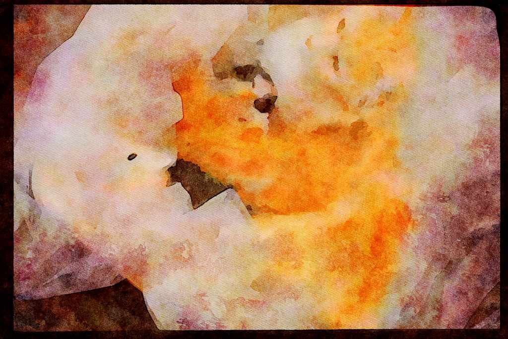 Cats Kittens 336013 Little Litter A4 Limited Edition Watercolour Print