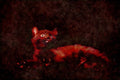 Cats Kittens 336018 Who Me_ A4 Limited Edition Watercolour Print