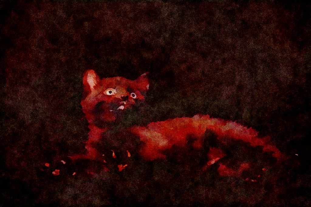 Cats Kittens 336018 Who Me_ A4 Limited Edition Watercolour Print