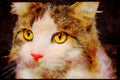 Cats Kittens 336020 Catty A4 Limited Edition Watercolour Print