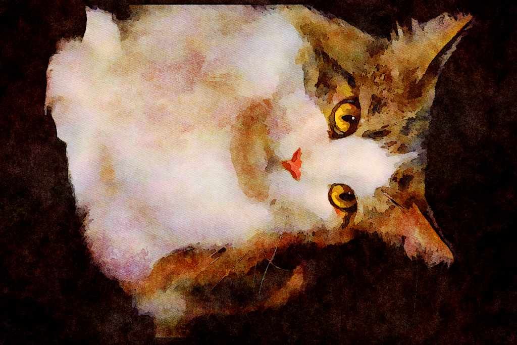 Cats Kittens 336021 Maine Coon A4 Limited Edition Watercolour Print