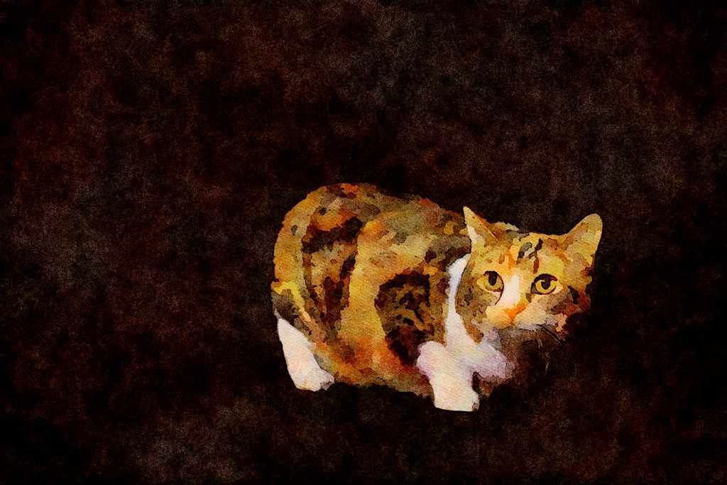 Cats Kittens 336022 Manx A4 Limited Edition Watercolour Print
