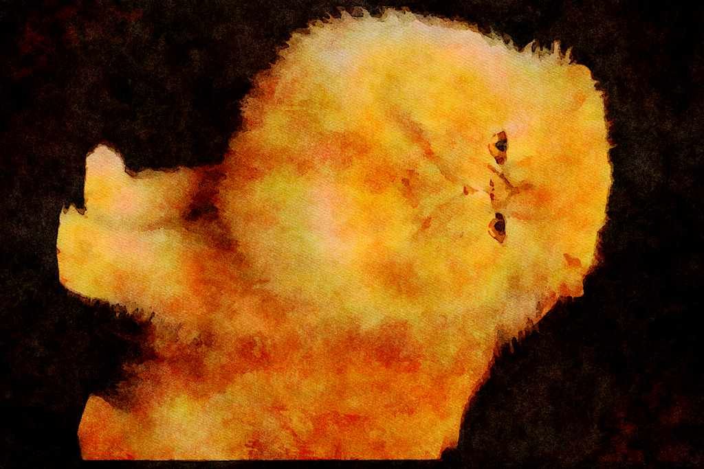 Cats Kittens 336024 I AM Smiling! A4 Limited Edition Watercolour Print