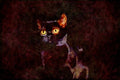 Cats Kittens 336027 Stealth A4 Limited Edition Watercolour Print