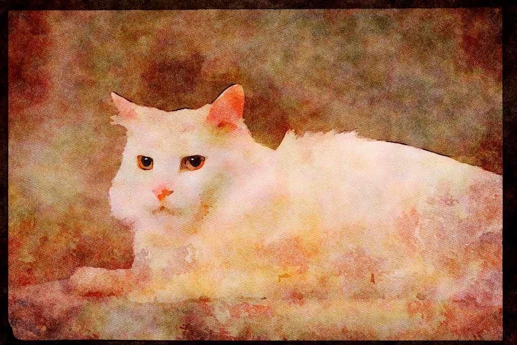 Cats Kittens 336029 Ami A4 Limited Edition Watercolour Print